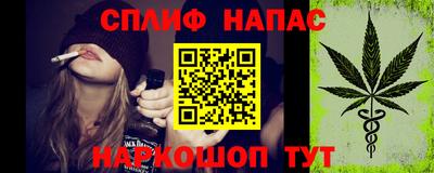 прущие грибы Гагарин