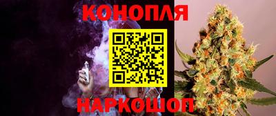 прущие грибы Гагарин