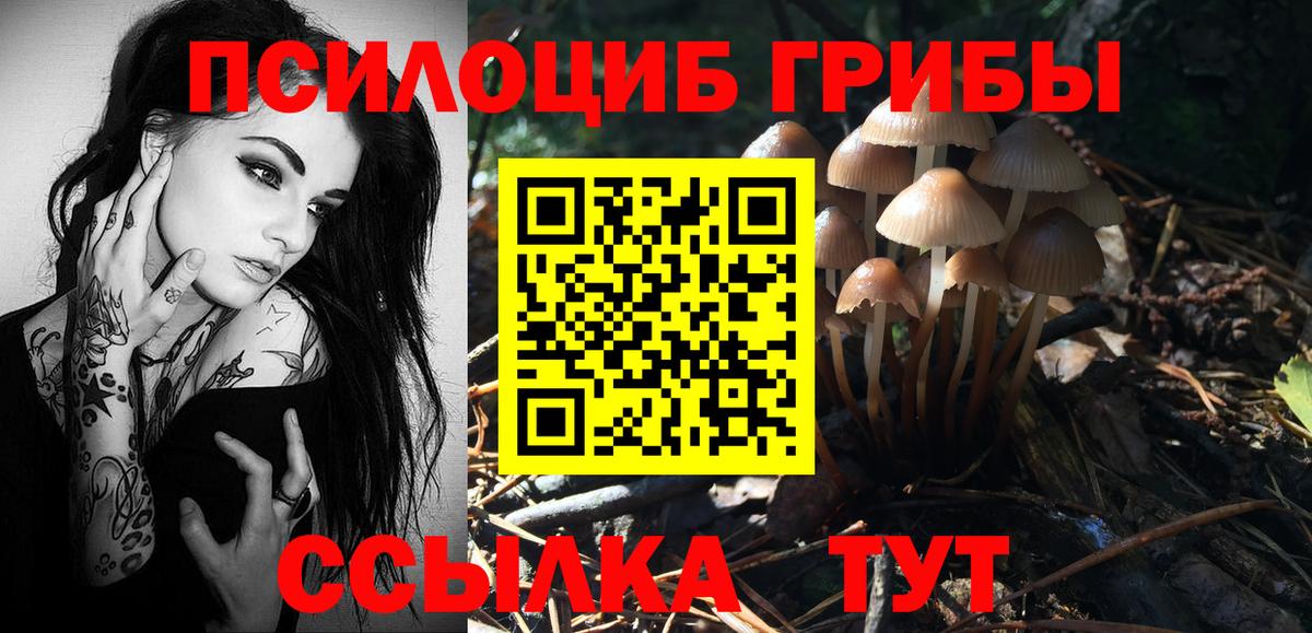 Галлюциногенные грибы Psilocybe  Галлюциногенные грибы Magic Shrooms  Ростов Великий  Вход с VPN 