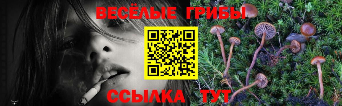 Псилоцибиновые грибы мицелий Ростов Великий